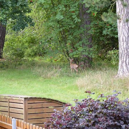 Ferienwohnung Im Wald Mit Kamin Бад-Гарцбург Экстерьер фото
