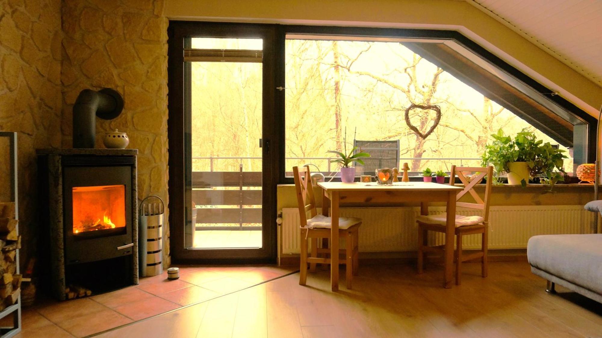Ferienwohnung Im Wald Mit Kamin Бад-Гарцбург Экстерьер фото