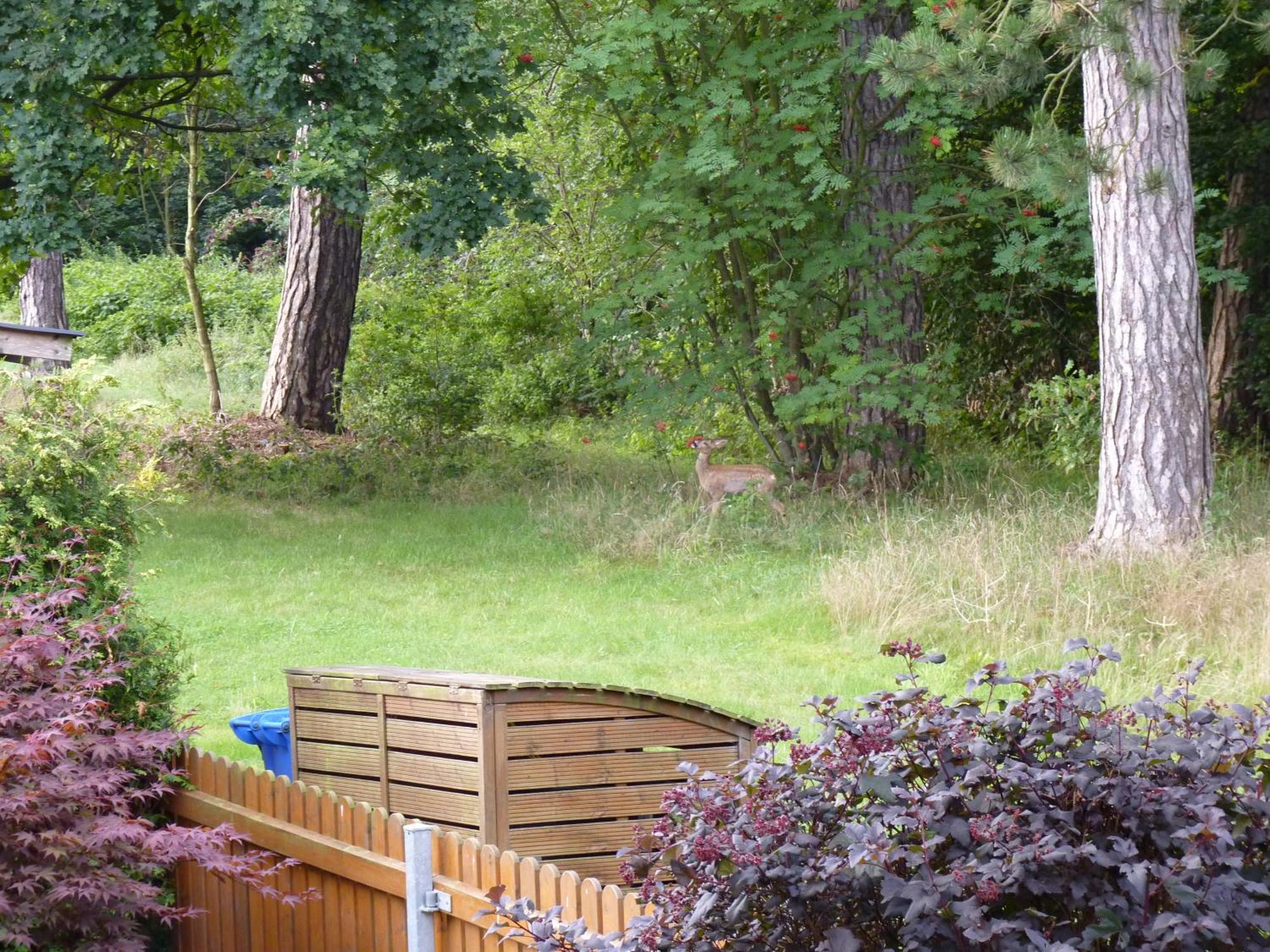Ferienwohnung Im Wald Mit Kamin Бад-Гарцбург Экстерьер фото